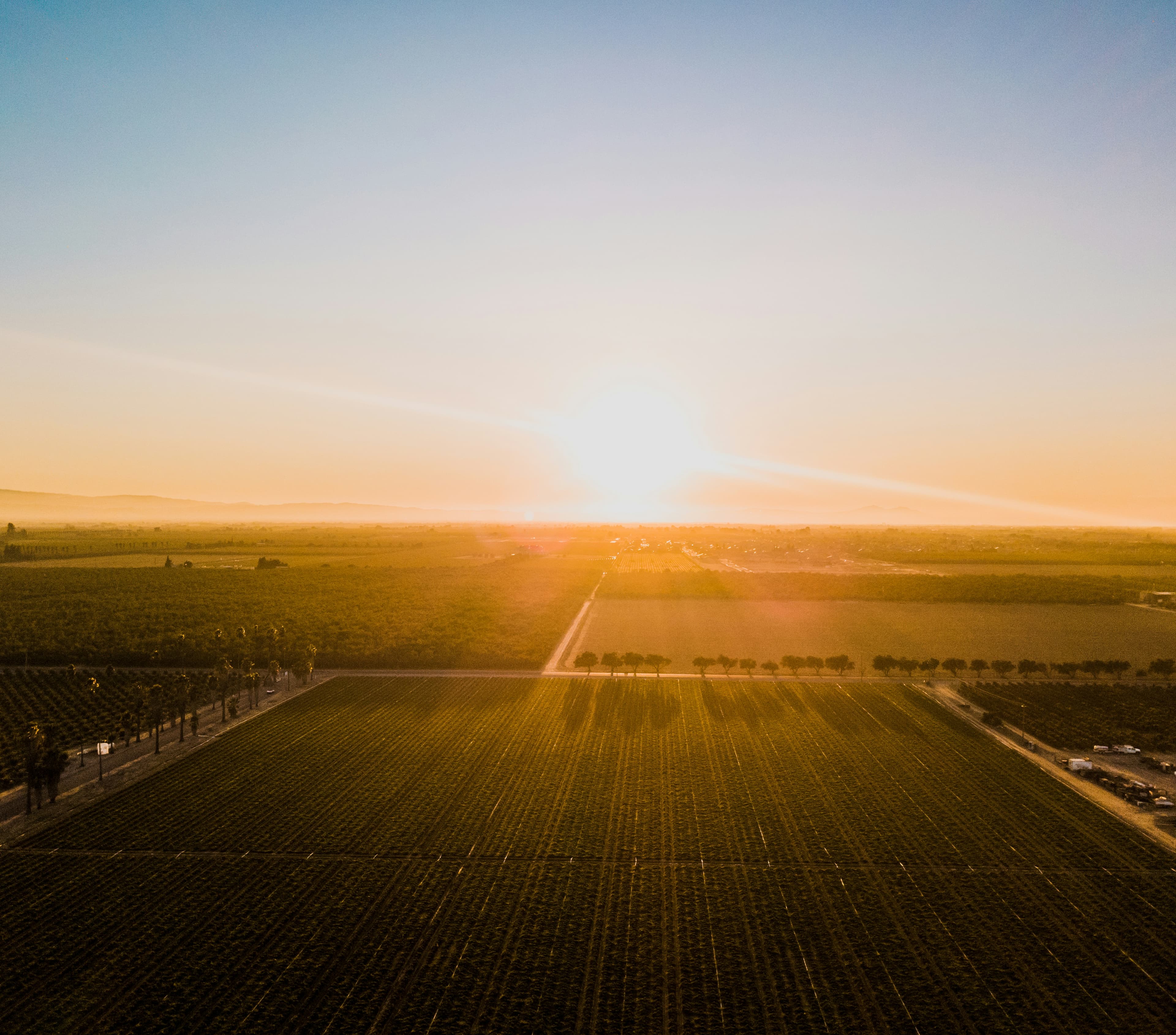 Sunrise on a farm